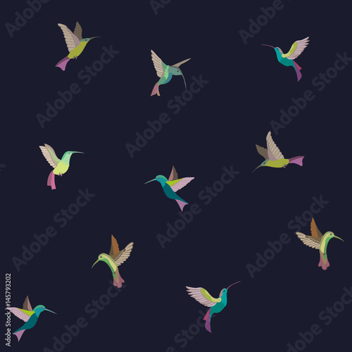 Bright vector birds. Hummingbird. Colibri. Seamless pattern.