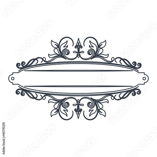 classic signboard swirls decoration template vector illustration