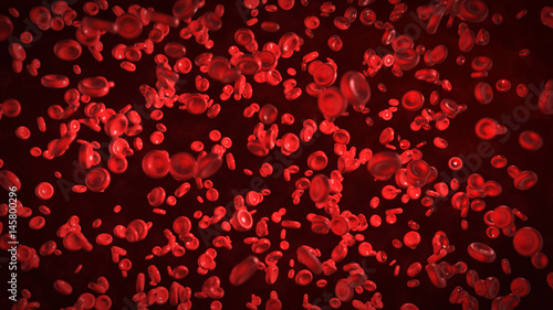 Red blood cells in the living body