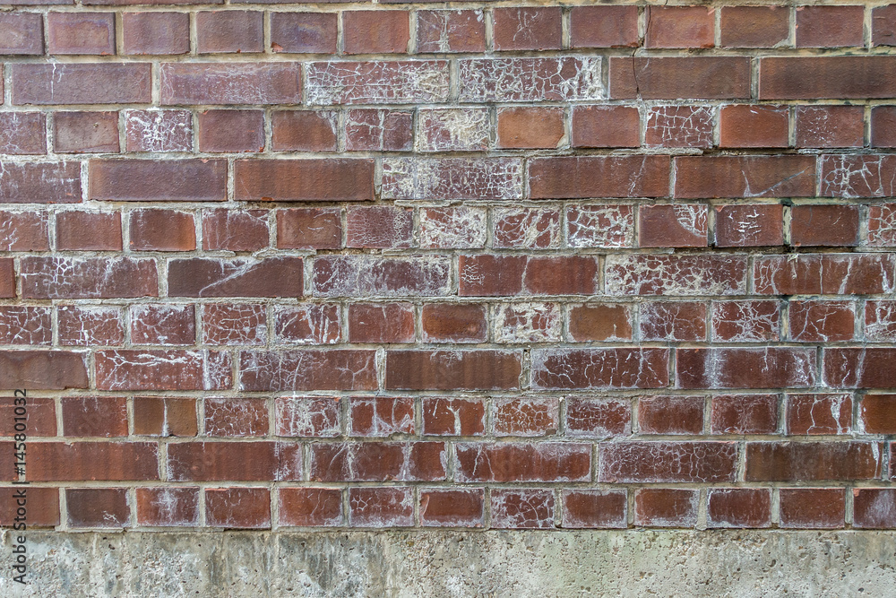 Schimmel an Backsteinwand Schimmel an Backsteinwand