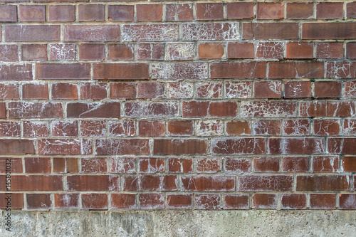 Schimmel an Backsteinwand