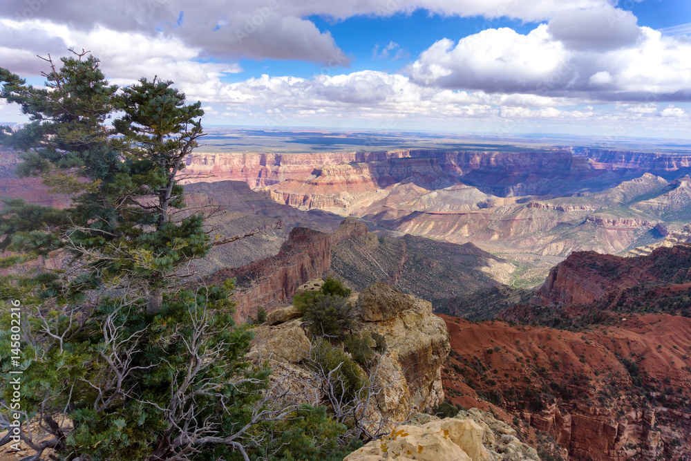 Landscape of the Grand Canyon