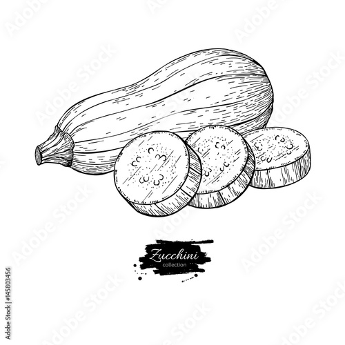 Zucchini hand drawn vector illustration. Isolated Vegetable engraved style object with sliced pieces.