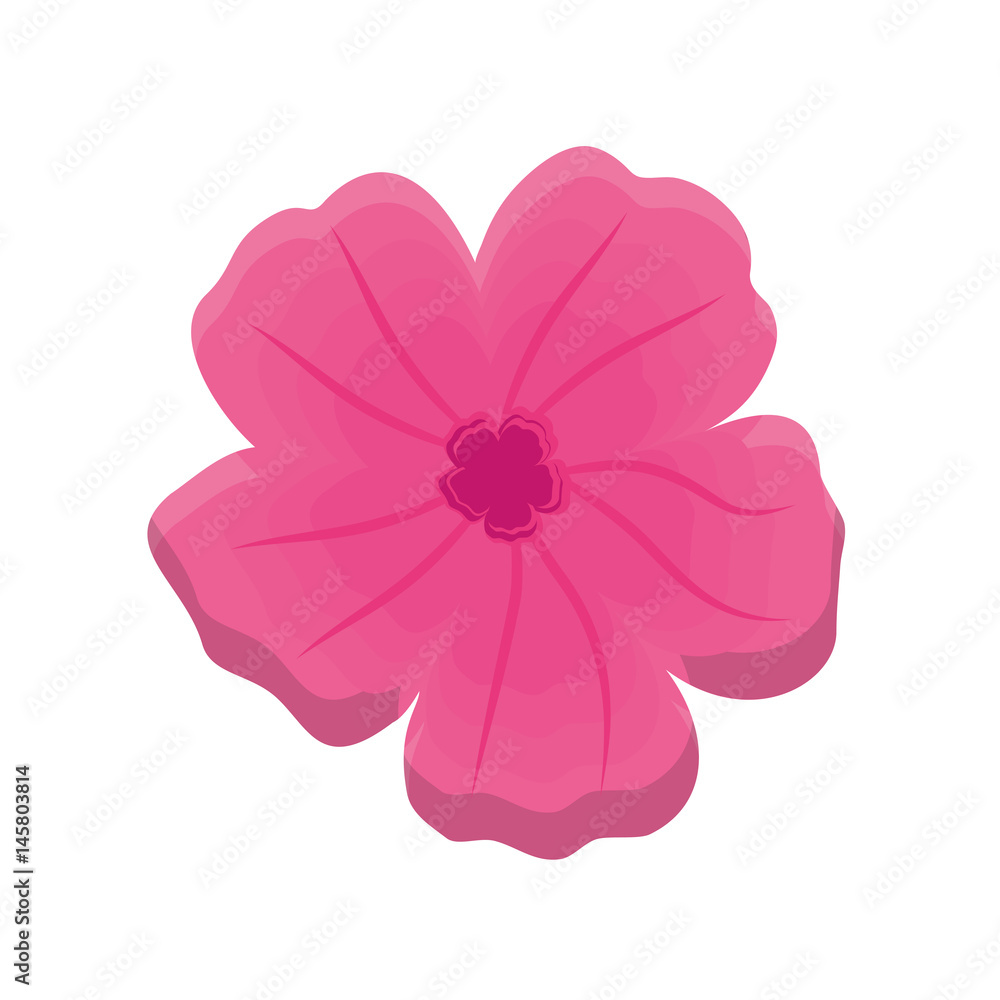 tropical flower icon over white background. colorful desing. vector illustration