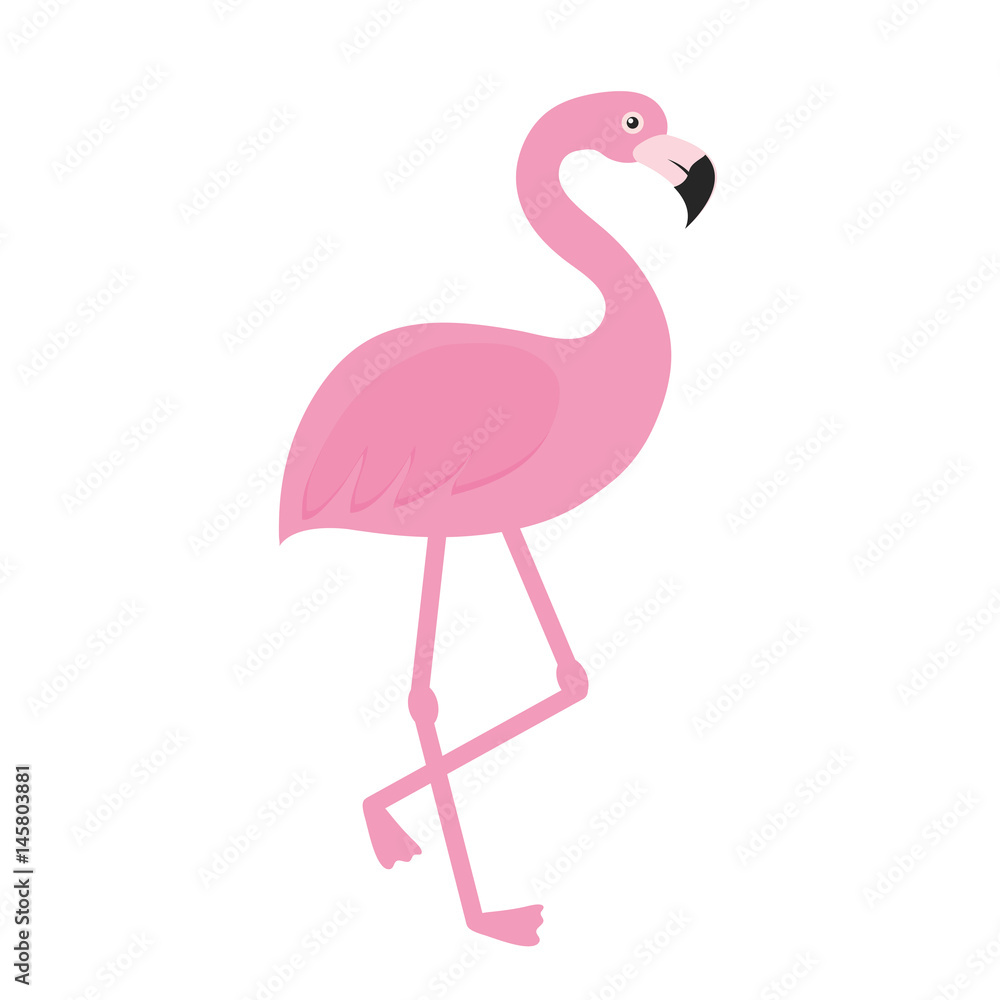 pink flamingo icon over white background. vector illustration