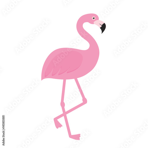 pink flamingo icon over white background. vector illustration
