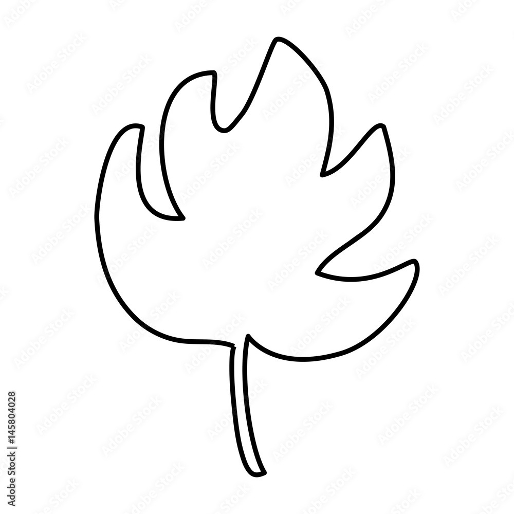 Obraz premium tropical leaf icon over white background. vector illustration