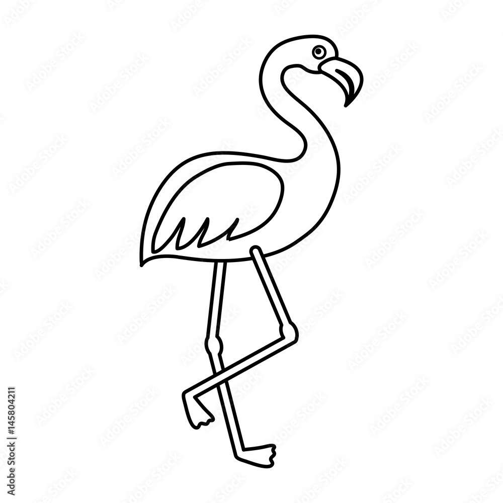 flamingo bird icon over white background. vector illustration flamingo bird icon over white background. vector illustration