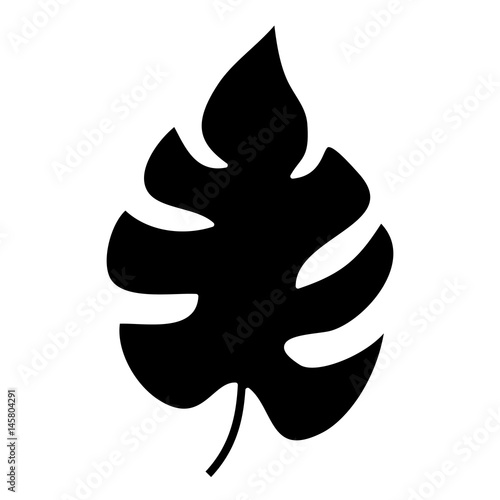 tropical leaf icon over white background. vector illustration