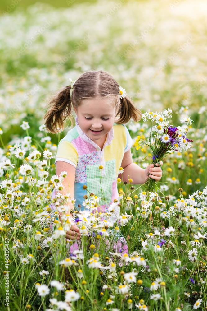 Little girl picking flowers in daisy field Little girl picking flowers in daisy field
