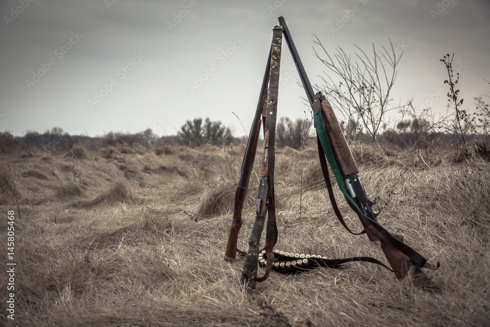 Hunting shotguns in dry rural field in overcast day with dramatic sky during hunting season as hunting background with copy space