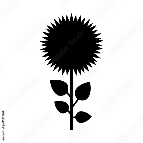 beautiful flower icon over white background. vector illustration