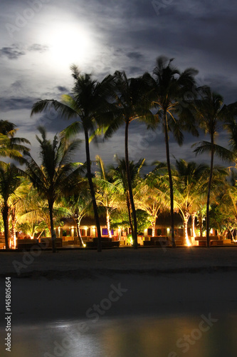 Island in ocean, Maldives. Night. .Moon above palm trees.