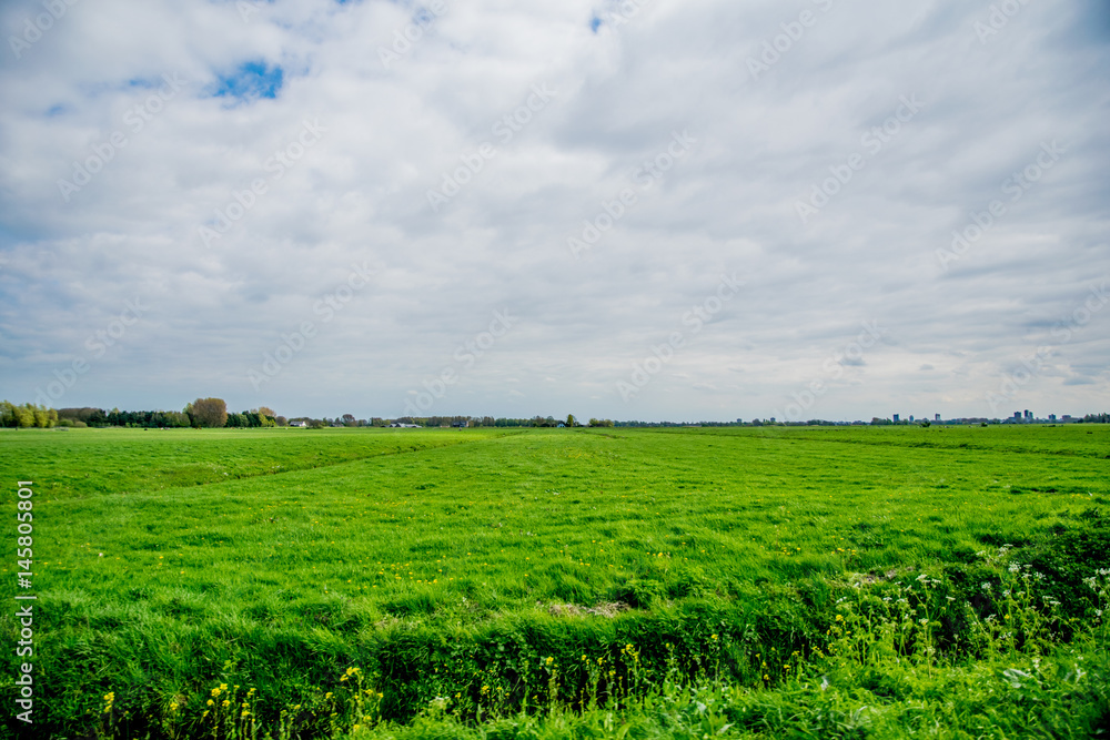 green landscape view with grass water and blue sky
