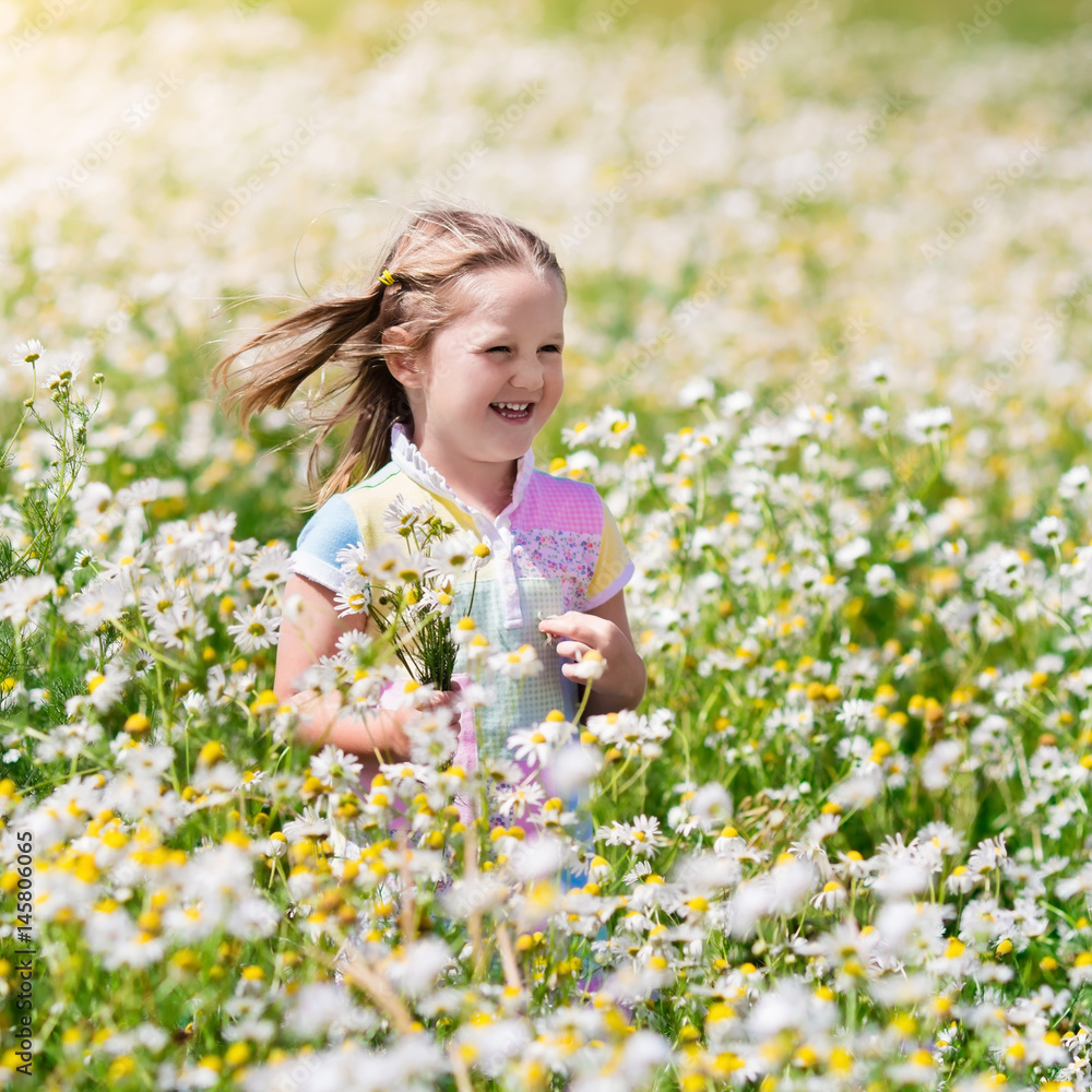 Little girl picking flowers in daisy field