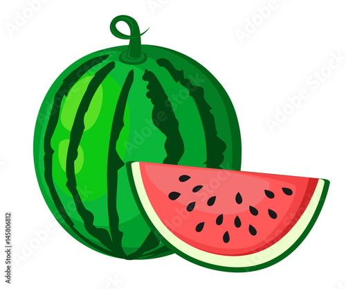 Juicy watermelon summer fruit and a slice of watermelon. Vector illustration on white background. Elements for design. Melon print. Summer market water fruit.