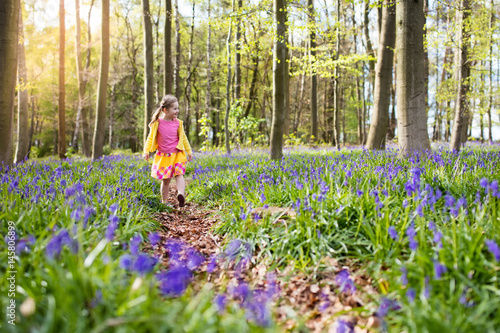 Child with bluebell flowers in spring forest