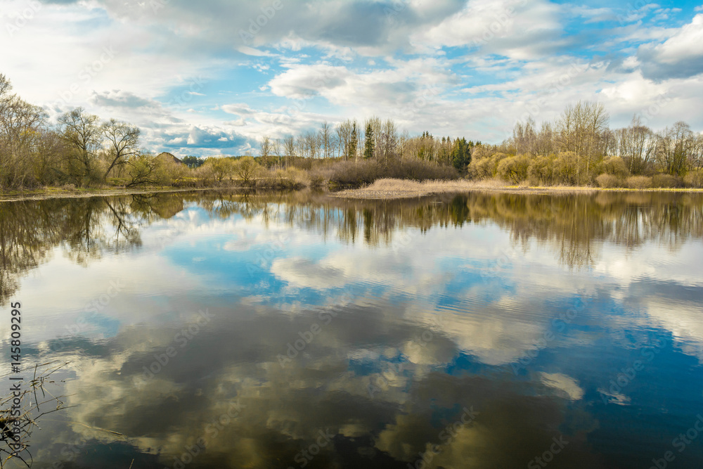 The bay of the river, in calm water reflects a blue sky with clouds, on the horizon there is a forest of deciduous and coniferous species, dry vegetation, a spring sunny day The bay of the river, in calm water reflects a blue sky with clouds, on the horizon there is a forest of deciduous and coniferous species, dry vegetation, a spring sunny day