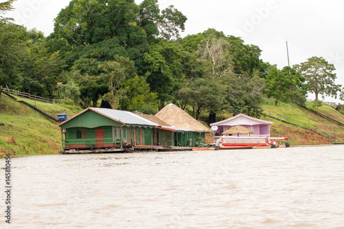 Life in a lagoon on Rio Negro in the Amazon River basin, Brazil, South America © anca enache