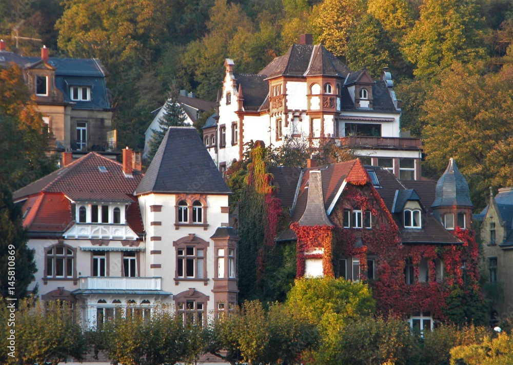 Heidelberg mansions (1)