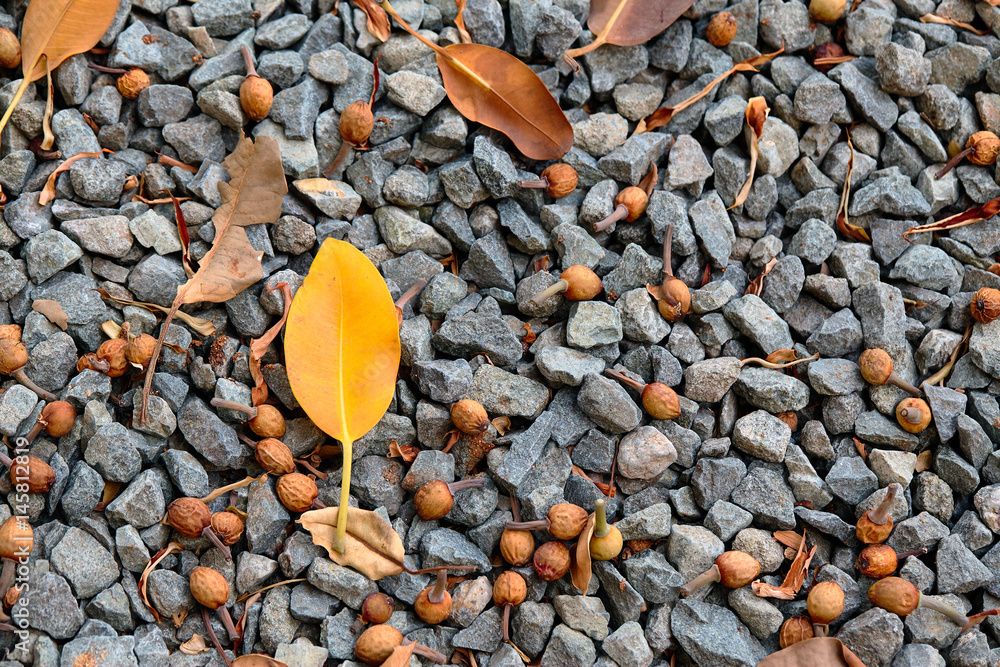 A yellow dry leaf on stone ground. Spain. A yellow dry leaf on stone ground. Spain.
