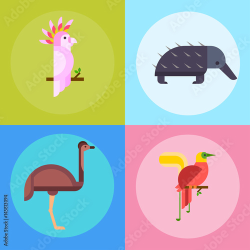 Australia wild animals cartoon popular nature characters flat style and australian mammal aussie native forest collection vector illustration.