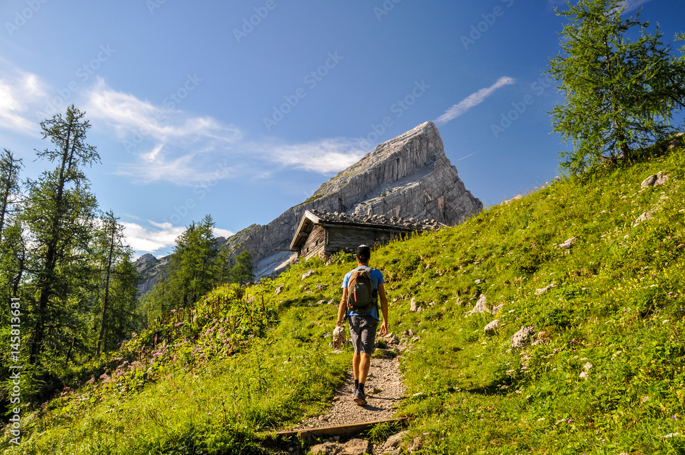 Obraz premium Young man hiking on a pathway up to Watzmann Mountain (2713m). In the background you can see a cabin and 