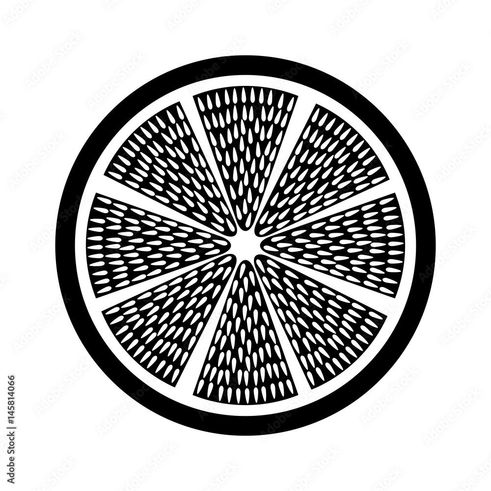 slice citrus fruit icon vector illustration design slice citrus fruit icon vector illustration design