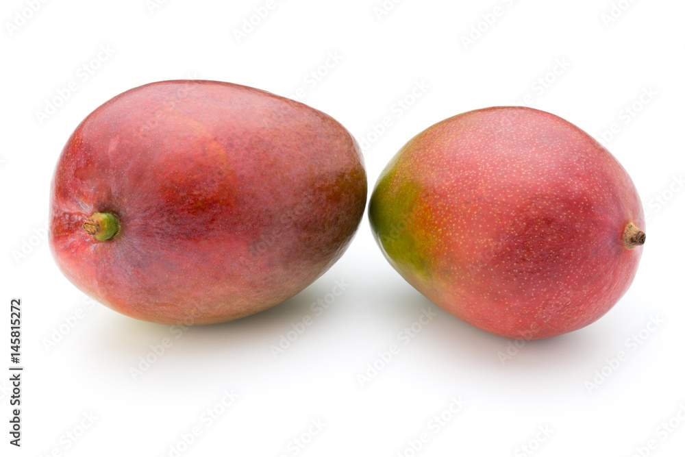 Mango fruit isolated on white background . Mango fruit isolated on white background .