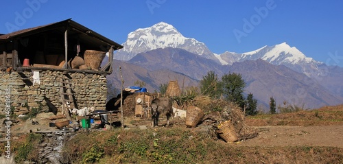 Rural scene in Nepal. High mountains Dhaulagiri and Tukuche Peak. photo