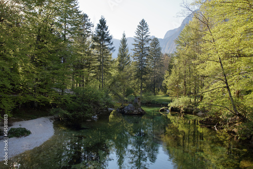 Nature landscape. Clean and crystal clear water in mountain river.