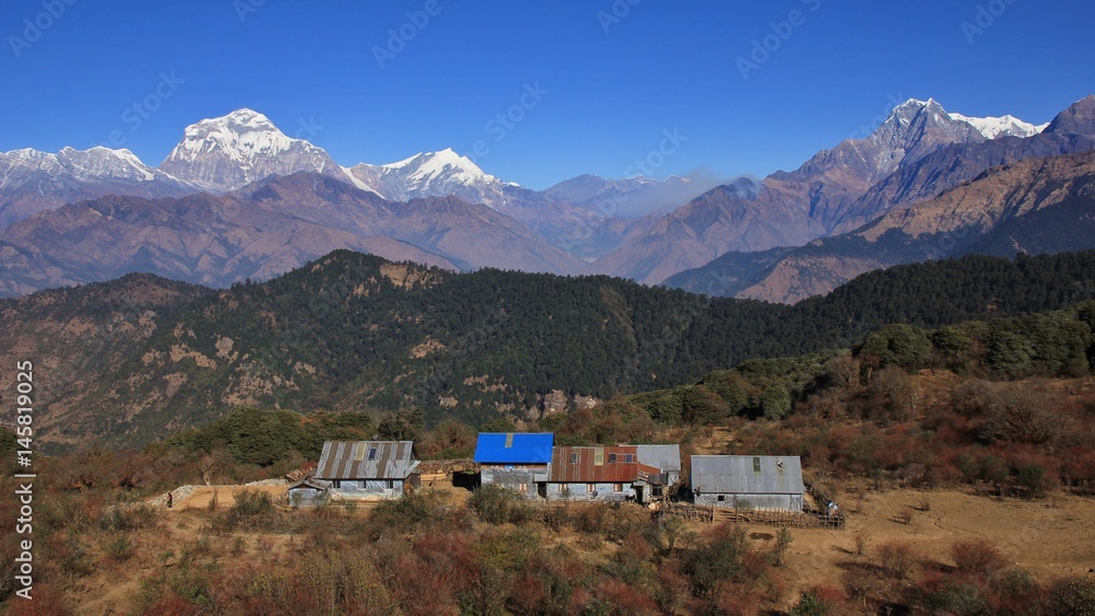 Simple hotels below Mohare Danda, Nepal. High mountains Dhaulagiri, Tukuche Peak and Nilgiri.