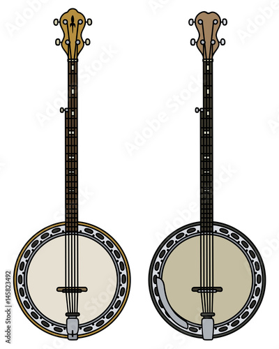 Classic five srting bajo