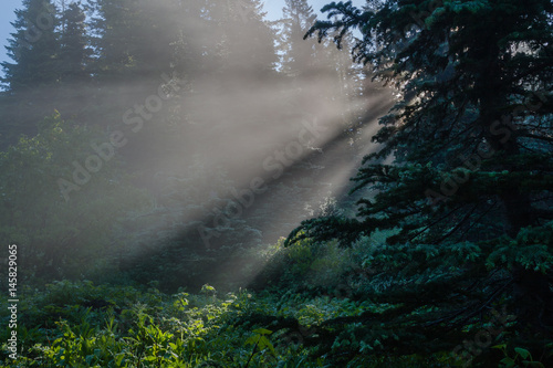 Rays of light