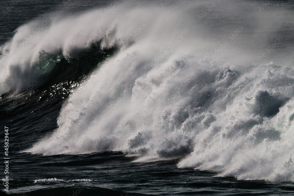 Fototapeta premium Pacific Waves 3356