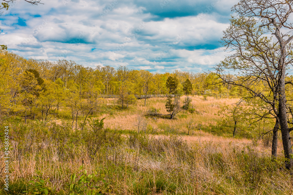 Shaw Nature Park