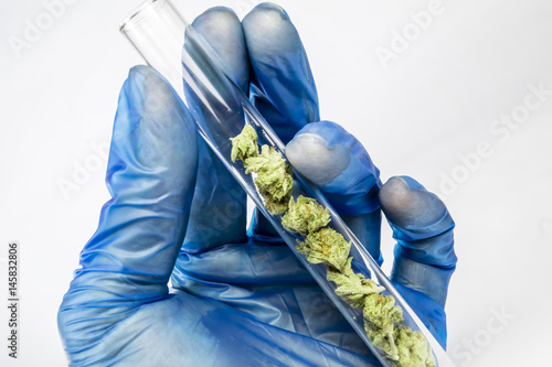 Science, Research, Technology and Cannabis -  The Increasingly Legal, Medical and Recreational Use of Marijuana