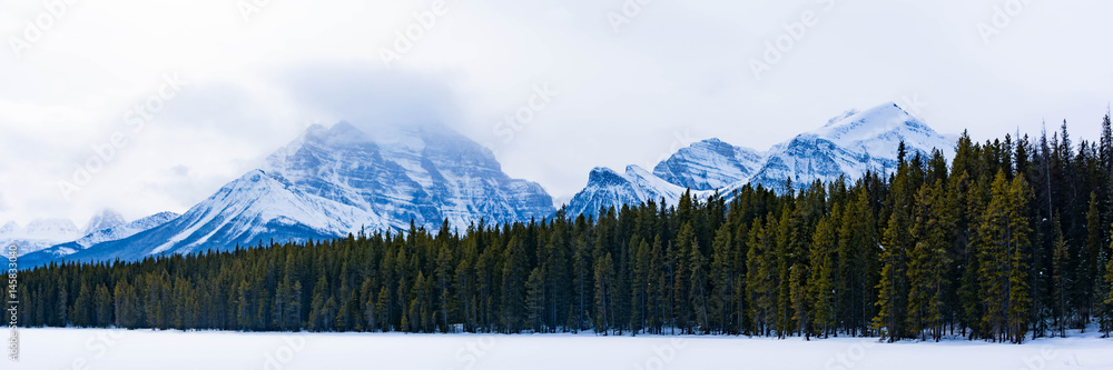 Lake Louise Banff National Park in Winter 