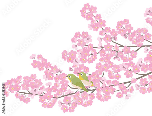 メジロと桜　和風