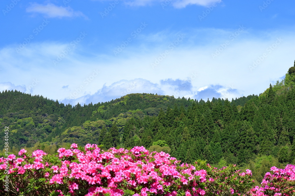 田舎の風景　宮崎県日南市