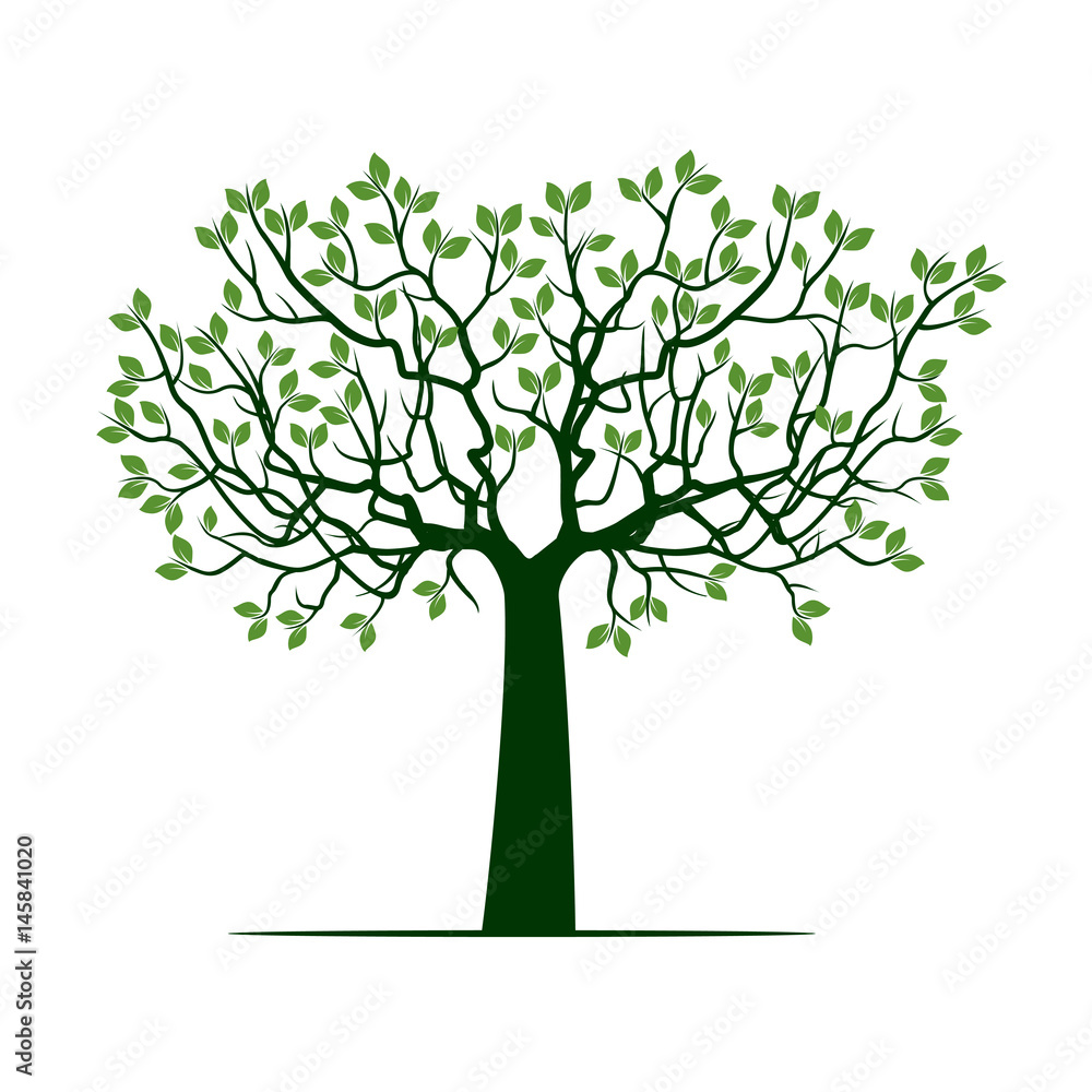 Fototapeta premium Green Tree with Leafs. Vector Illustration.
