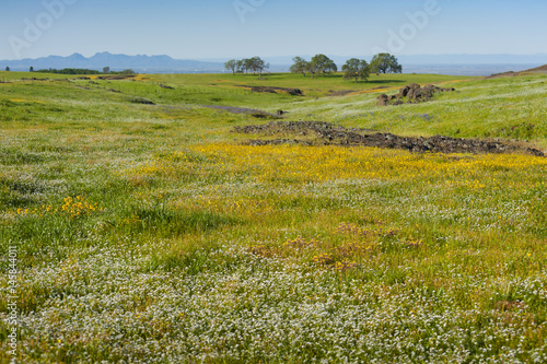 North Table Mountain Ecological Reserve, Oroville, California. An elevated basalt mesa with beautiful vistas of spring wildflowers, waterfalls, lava outcrops and a rare type of vernal pool.