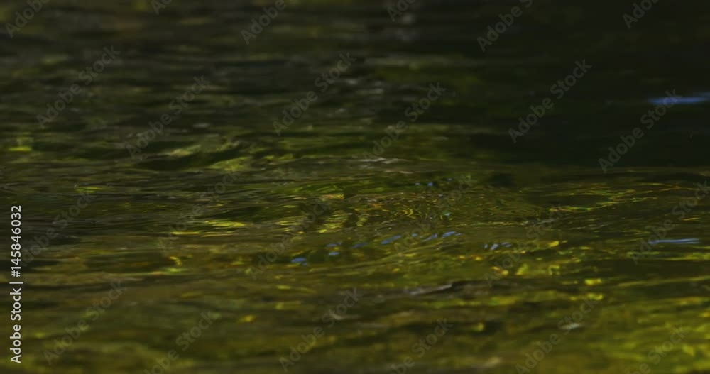 Close-up of river water surface