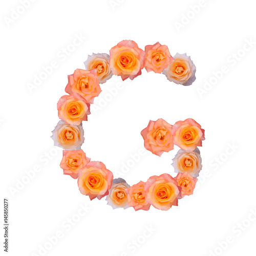 The letter G  in the Alphabet bloom roses illustration set old rose pink color isolated on white background  vector eps10
