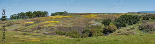 Bild auf Leinwand North Table Mountain Ecological Reserve, Oroville, California