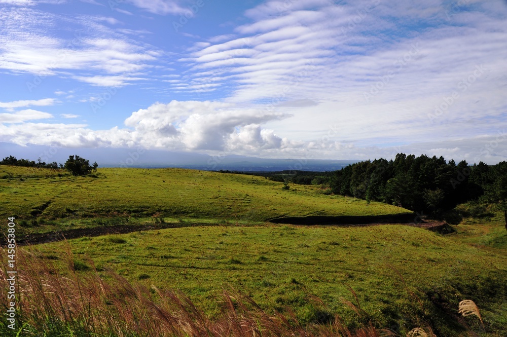 Fototapeta premium 久住高原