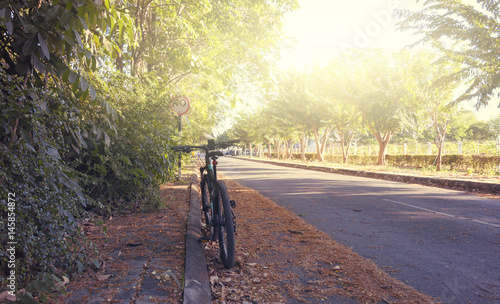 bicycle on road in the park