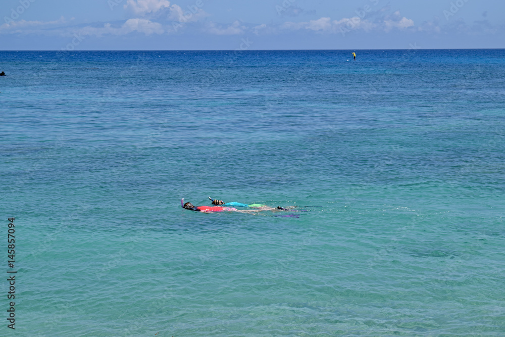 snorkelers on Kohala coast, Big Island of Hawaii