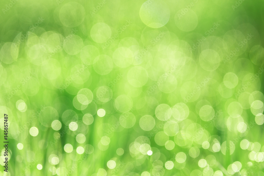 Fototapeta premium Green abstract background