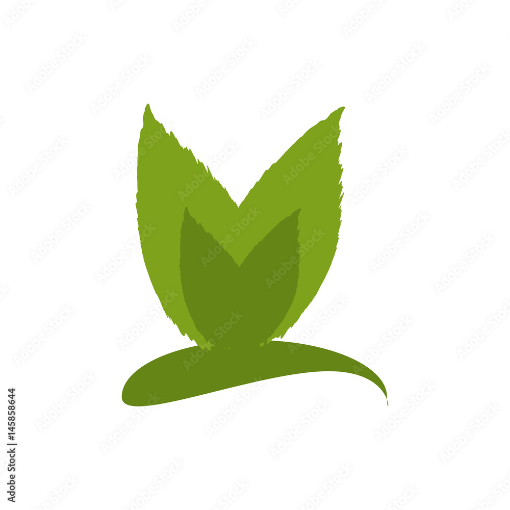 Leaves natural ecology icon vector illustration graphic design Leaves natural ecology icon vector illustration graphic design